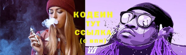 бошки Ладушкин