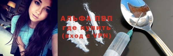 бошки Ладушкин