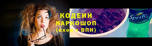 бошки Ладушкин