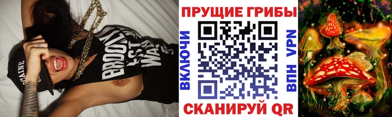 где купить наркотик  Малгобек  Псилоцибиновые грибы MAGIC MUSHROOMS 