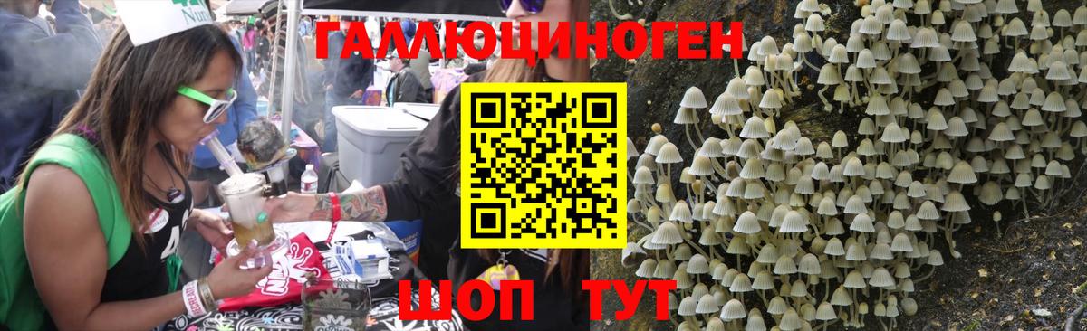 Псилоцибиновые грибы прущие грибы Малгобек