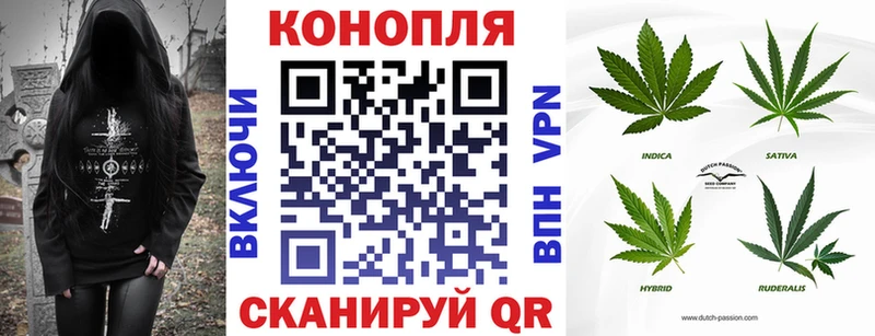darknet наркотические препараты  купить закладку  Малгобек  Каннабис тримм 